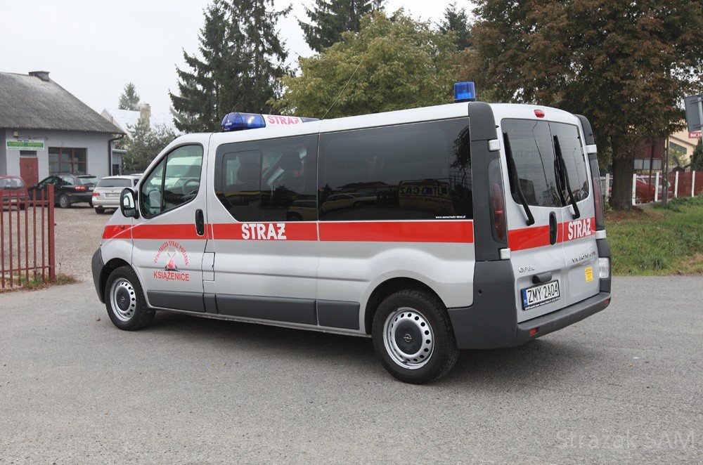 vivaro srebrne 3